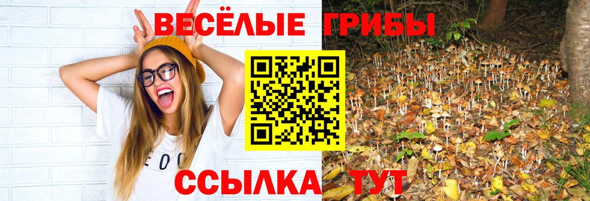 хочу наркоту  Вход с VPN  Набережные Челны  Псилоцибиновые грибы Psilocybine cubensis  Галлюциногенные грибы Psilocybine cubensis 